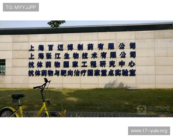 迈博官网：了解迈博公司在行业中的市场地位与未来发展规划